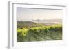 Vineyards near to Orveito, Umbria, Italy, Europe-Julian Elliott-Framed Photographic Print