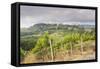 Vineyards Near to San Gimignano, Tuscany, Italy, Europe-Copyright: Julian-Framed Stretched Canvas