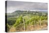 Vineyards Near to San Gimignano, Tuscany, Italy, Europe-Copyright: Julian-Stretched Canvas