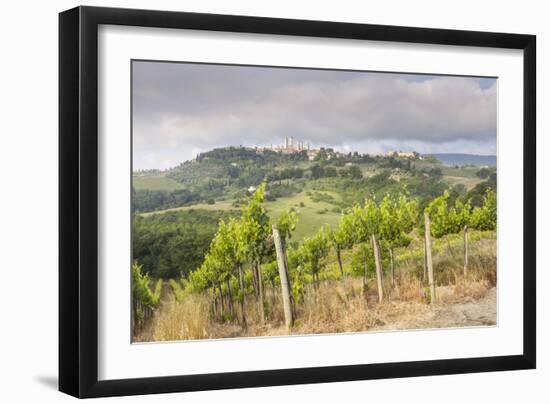 Vineyards Near to San Gimignano, Tuscany, Italy, Europe-Copyright: Julian-Framed Photographic Print