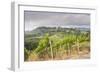 Vineyards Near to San Gimignano, Tuscany, Italy, Europe-Copyright: Julian-Framed Photographic Print