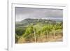 Vineyards Near to San Gimignano, Tuscany, Italy, Europe-Copyright: Julian-Framed Photographic Print