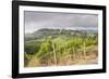 Vineyards Near to San Gimignano, Tuscany, Italy, Europe-Copyright: Julian-Framed Photographic Print