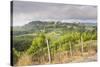 Vineyards Near to San Gimignano, Tuscany, Italy, Europe-Copyright: Julian-Stretched Canvas