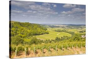 Vineyards Near to Sancerre in the Loire Valley. an Area Famous for its Wine-Julian Elliott-Stretched Canvas