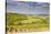 Vineyards Near to Sancerre in the Loire Valley. an Area Famous for its Wine-Julian Elliott-Stretched Canvas