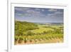 Vineyards Near to Sancerre in the Loire Valley. an Area Famous for its Wine-Julian Elliott-Framed Photographic Print