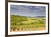 Vineyards Near to Sancerre in the Loire Valley. an Area Famous for its Wine-Julian Elliott-Framed Photographic Print