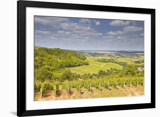 Vineyards Near to Sancerre in the Loire Valley. an Area Famous for its Wine-Julian Elliott-Framed Photographic Print