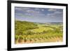 Vineyards Near to Sancerre in the Loire Valley. an Area Famous for its Wine-Julian Elliott-Framed Photographic Print