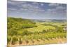 Vineyards Near to Sancerre in the Loire Valley. an Area Famous for its Wine-Julian Elliott-Mounted Photographic Print
