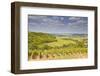 Vineyards Near to Sancerre in the Loire Valley. an Area Famous for its Wine-Julian Elliott-Framed Photographic Print