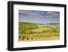 Vineyards Near to Sancerre in the Loire Valley. an Area Famous for its Wine-Julian Elliott-Framed Photographic Print