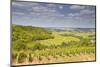 Vineyards Near to Sancerre in the Loire Valley. an Area Famous for its Wine-Julian Elliott-Mounted Photographic Print