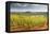 Vineyards Near to the Beaux Village De France of Vezelay in the Yonne Area-Julian Elliott-Framed Stretched Canvas