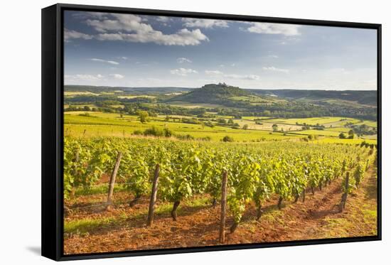 Vineyards Near to the Beaux Village De France of Vezelay in the Yonne Area-Julian Elliott-Framed Stretched Canvas