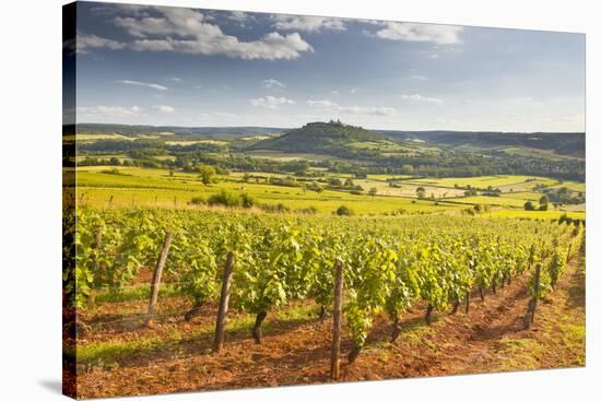 Vineyards Near to the Beaux Village De France of Vezelay in the Yonne Area-Julian Elliott-Stretched Canvas