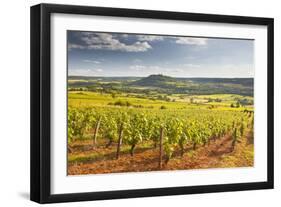 Vineyards Near to the Beaux Village De France of Vezelay in the Yonne Area-Julian Elliott-Framed Photographic Print