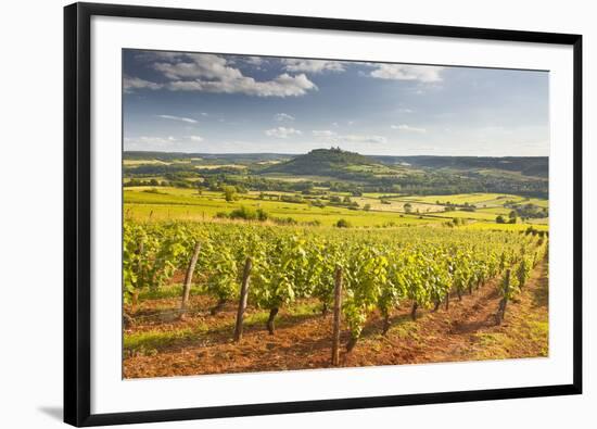 Vineyards Near to the Beaux Village De France of Vezelay in the Yonne Area-Julian Elliott-Framed Photographic Print