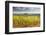 Vineyards Near to the Beaux Village De France of Vezelay in the Yonne Area-Julian Elliott-Framed Premium Photographic Print