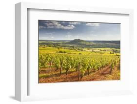 Vineyards Near to the Beaux Village De France of Vezelay in the Yonne Area-Julian Elliott-Framed Photographic Print