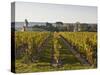 Vineyards Near to the Chateau of Chinon, Indre-Et-Loire, Loire Valley, France, Europe-Julian Elliott-Stretched Canvas