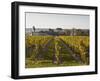 Vineyards Near to the Chateau of Chinon, Indre-Et-Loire, Loire Valley, France, Europe-Julian Elliott-Framed Photographic Print