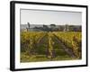 Vineyards Near to the Chateau of Chinon, Indre-Et-Loire, Loire Valley, France, Europe-Julian Elliott-Framed Photographic Print