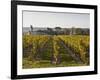 Vineyards Near to the Chateau of Chinon, Indre-Et-Loire, Loire Valley, France, Europe-Julian Elliott-Framed Photographic Print