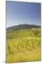 Vineyards Near to the Hilltop Village of Vezelay in the Yonne Area of Burgundy, France, Europe-Julian Elliott-Mounted Photographic Print