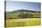 Vineyards Near to the Hilltop Village of Vezelay in the Yonne Area of Burgundy, France, Europe-Julian Elliott-Stretched Canvas