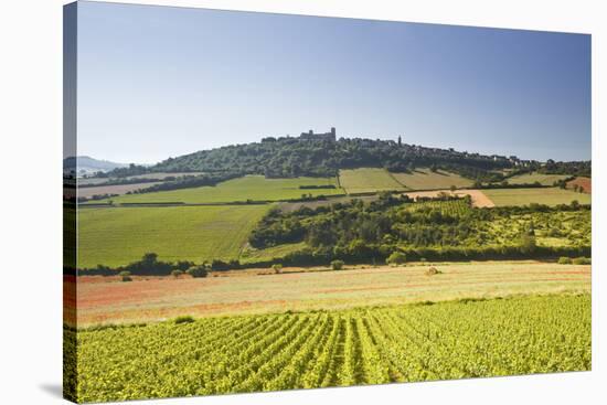 Vineyards Near to the Hilltop Village of Vezelay in the Yonne Area of Burgundy, France, Europe-Julian Elliott-Stretched Canvas