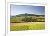Vineyards Near to the Hilltop Village of Vezelay in the Yonne Area of Burgundy, France, Europe-Julian Elliott-Framed Photographic Print