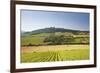 Vineyards Near to the Hilltop Village of Vezelay in the Yonne Area of Burgundy, France, Europe-Julian Elliott-Framed Photographic Print