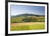 Vineyards Near to the Hilltop Village of Vezelay in the Yonne Area of Burgundy, France, Europe-Julian Elliott-Framed Photographic Print