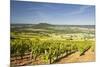 Vineyards Near to the Hilltop Village of Vezelay in the Yonne Area of Burgundy, France, Europe-Julian Elliott-Mounted Photographic Print