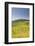 Vineyards Near to the Hilltop Village of Vezelay in the Yonne Area of Burgundy, France, Europe-Julian Elliott-Framed Photographic Print