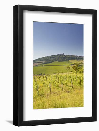 Vineyards Near to the Hilltop Village of Vezelay in the Yonne Area of Burgundy, France, Europe-Julian Elliott-Framed Photographic Print