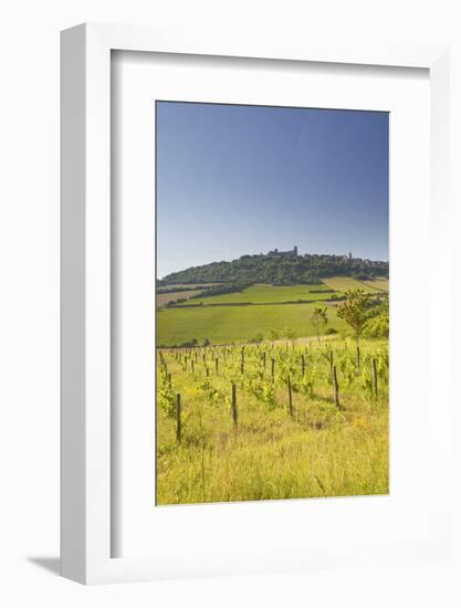 Vineyards Near to the Hilltop Village of Vezelay in the Yonne Area of Burgundy, France, Europe-Julian Elliott-Framed Photographic Print