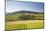 Vineyards Near to the Hilltop Village of Vezelay in the Yonne Area of Burgundy, France, Europe-Julian Elliott-Mounted Photographic Print