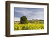 Vineyards Near to the Hilltop Village of Vezelay in the Yonne Area of Burgundy, France, Europe-Julian Elliott-Framed Photographic Print