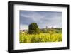 Vineyards Near to the Hilltop Village of Vezelay in the Yonne Area of Burgundy, France, Europe-Julian Elliott-Framed Photographic Print