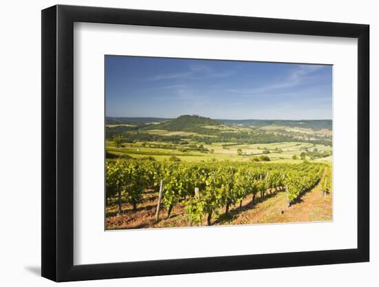 Vineyards Near to the Hilltop Village of Vezelay in the Yonne Area of Burgundy, France, Europe-Julian Elliott-Framed Photographic Print