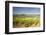 Vineyards Near to the Hilltop Village of Vezelay in the Yonne Area of Burgundy, France, Europe-Julian Elliott-Framed Photographic Print