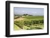 Vineyards Near to Todi, Umbria, Italy, Europe-Julian Elliott-Framed Photographic Print