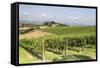 Vineyards Near to Todi, Umbria, Italy, Europe-Julian Elliott-Framed Stretched Canvas