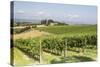 Vineyards Near to Todi, Umbria, Italy, Europe-Julian Elliott-Stretched Canvas
