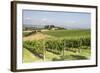 Vineyards Near to Todi, Umbria, Italy, Europe-Julian Elliott-Framed Photographic Print