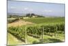 Vineyards Near to Todi, Umbria, Italy, Europe-Julian Elliott-Mounted Photographic Print