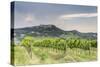 Vineyards near to Todi, Umbria, Italy, Europe-Julian Elliott-Stretched Canvas